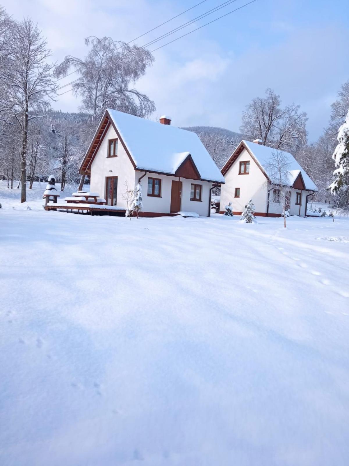 Bieszczadzkie Brzegi Ustrzyki Dolne Exterior foto