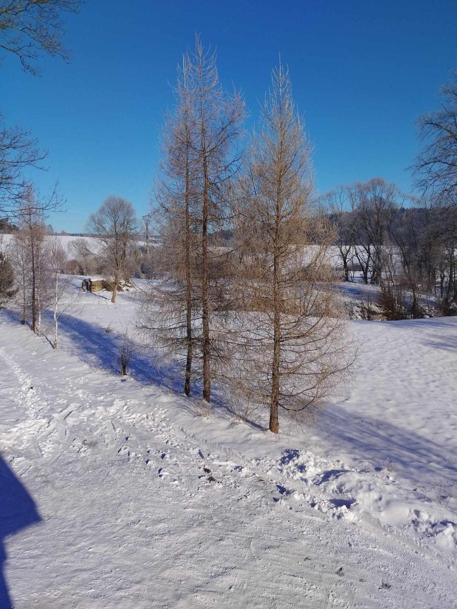 Bieszczadzkie Brzegi Ustrzyki Dolne Exterior foto